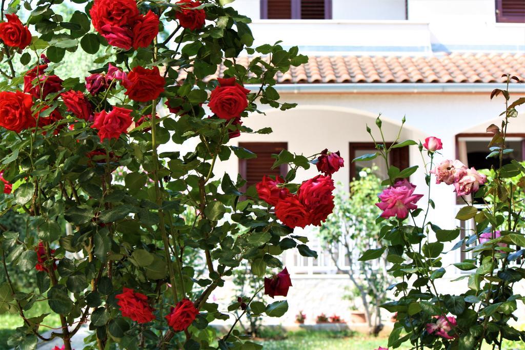 Holiday Home Magnolia Tar-Vabriga Exterior photo